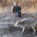 NEWS Spotting and Tracking Coyotes: How to Identify Signs and Follow Trails