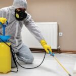 Effective Pest Control Services in Andover: Say Goodbye to Unwanted Guests